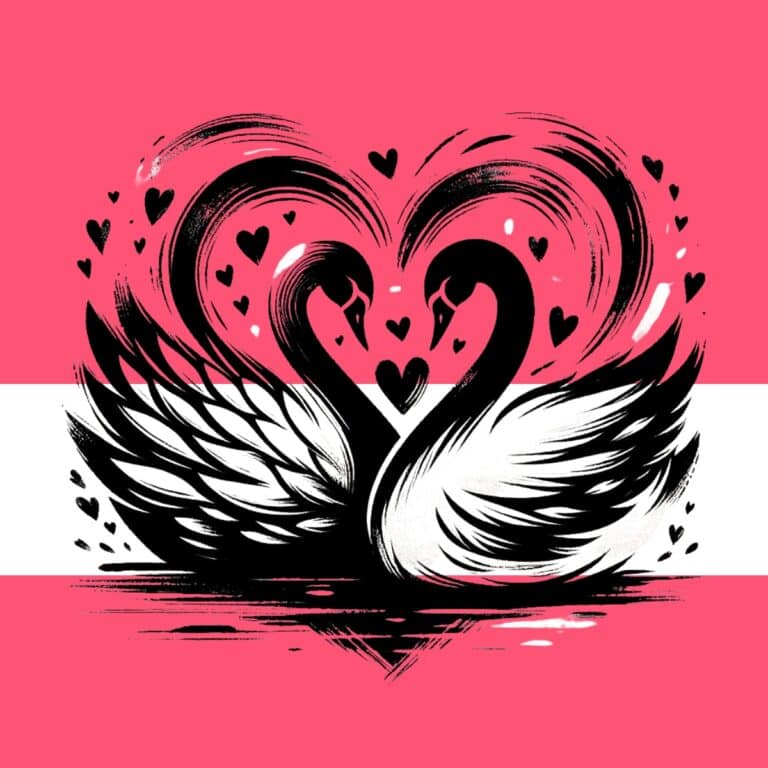 A black and white brush stroked picture of two swans forming a heart to represent Valentine's Day on a pink background.