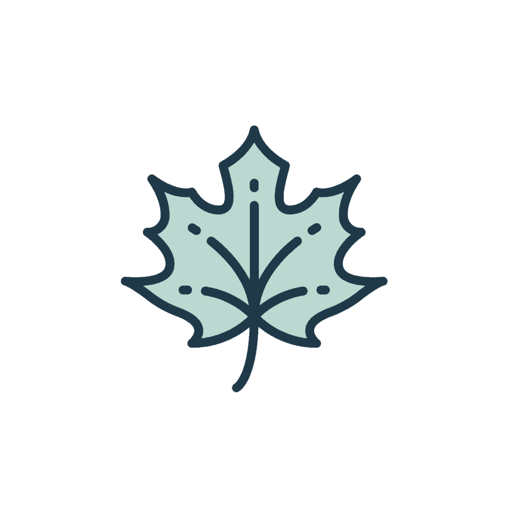 Simple illustration of a light blue maple leaf with a dark outline and visible veins, centered on a plain black background.